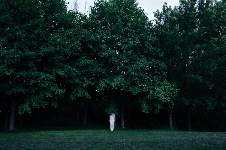 Free stock image of Hide created by Unsplash