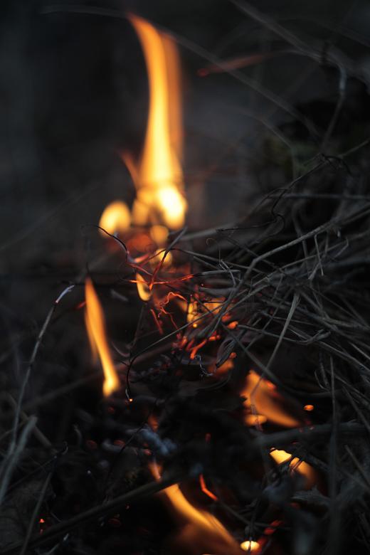 Free stock image of Fuel created by Unsplash