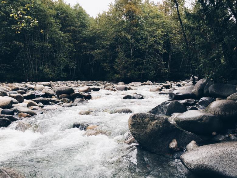 Free stock image of Through the woods created by Unsplash