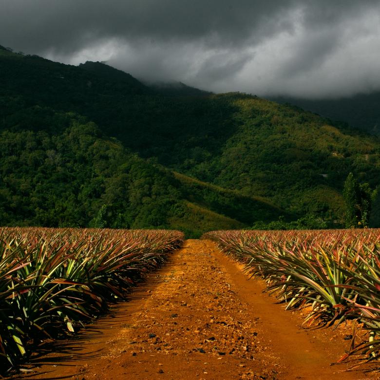 Free stock image of Landscape created by Unsplash