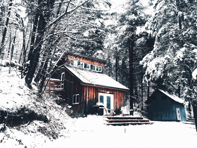 Free stock image of In  the woods created by Unsplash