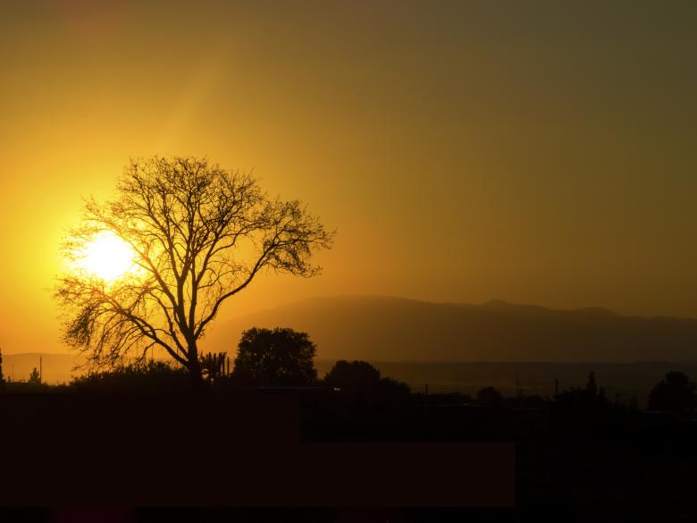 Free stock image of Sunlight created by Unsplash