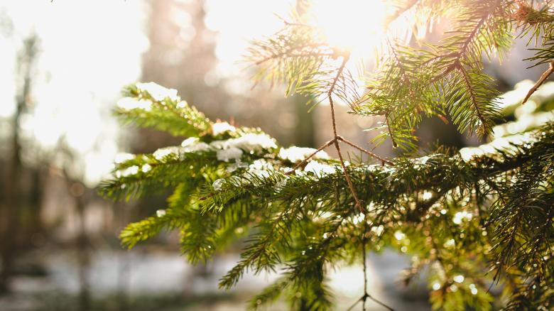 Free stock image of Bright created by Unsplash