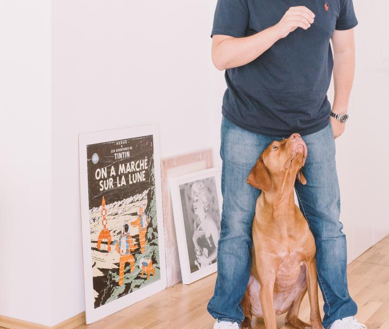 Free stock image of Pet created by Unsplash