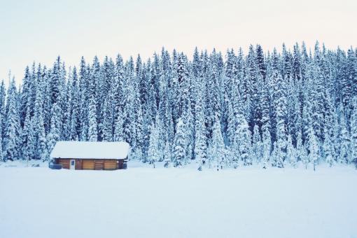 Free Stock Photo of House