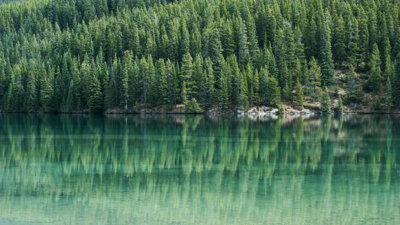 Free stock image of Mirror Effect created by Unsplash