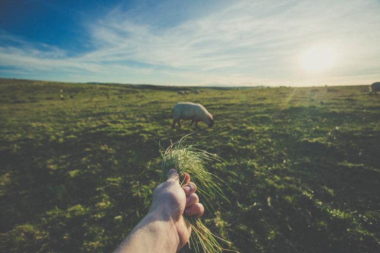 Free stock image of Field created by Unsplash