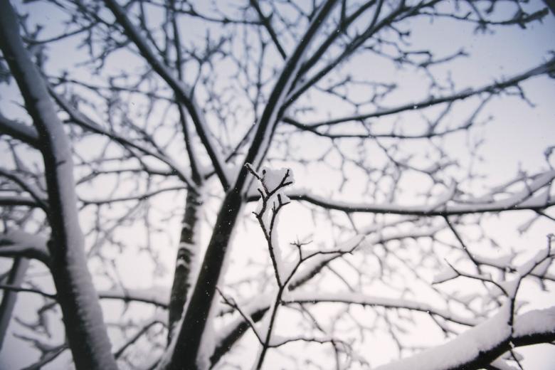 Free stock image of Winter created by Unsplash