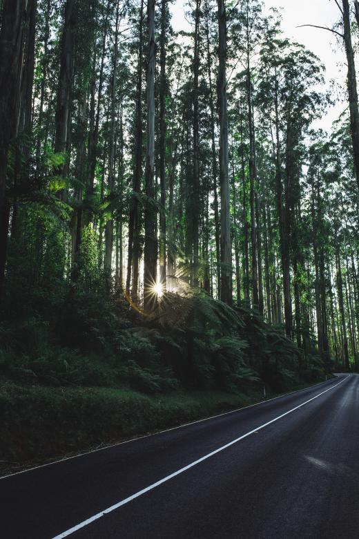 Free stock image of Woods created by Unsplash