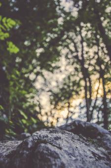 Rocky - Free Stock Photo