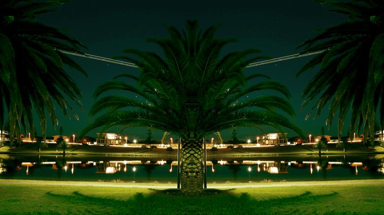 Free stock image of Palm City created by Life of Pix