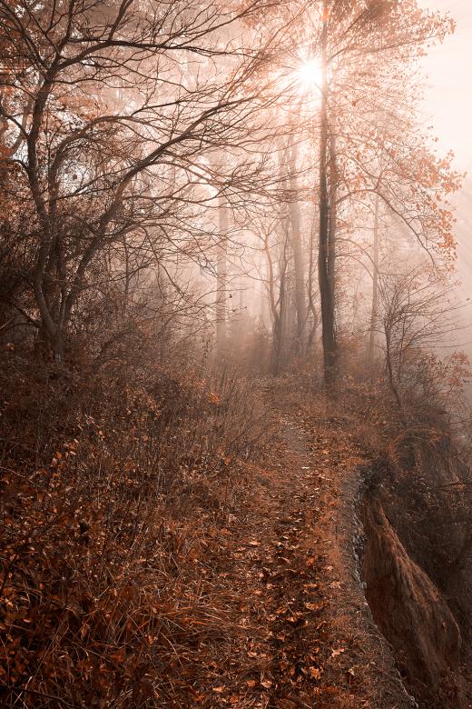 Free stock image of Misty Sun Kissed Trail - HDR created by Nicolas Raymond
