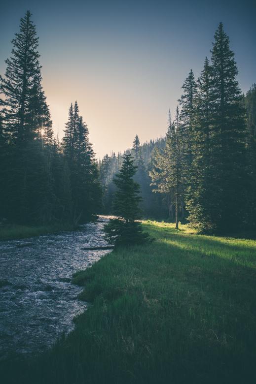 Free stock image of Nature created by Unsplash