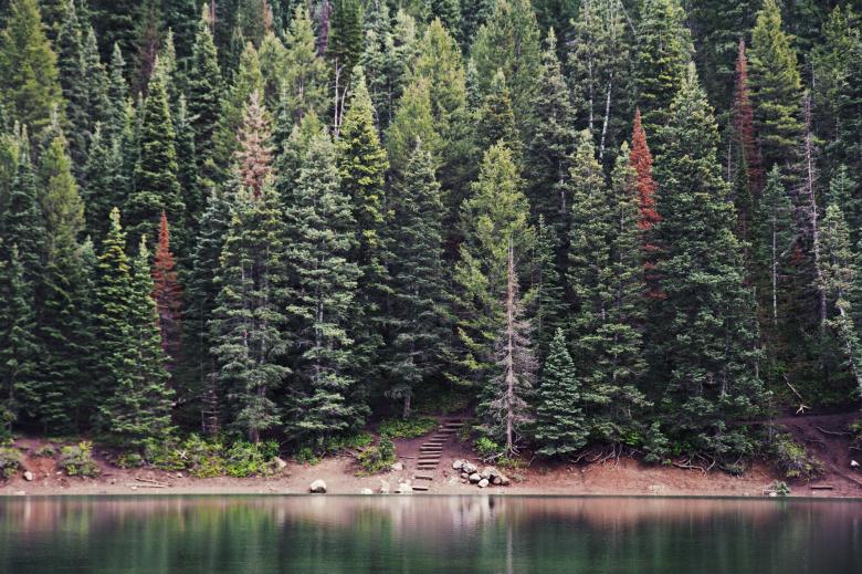 Free stock image of River created by Unsplash