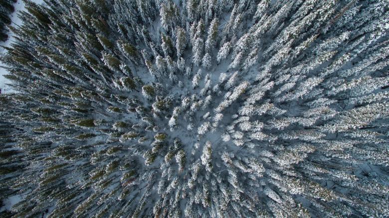 Free stock image of Above created by Unsplash