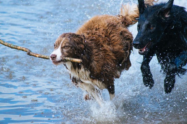 Free stock image of Run created by Unsplash