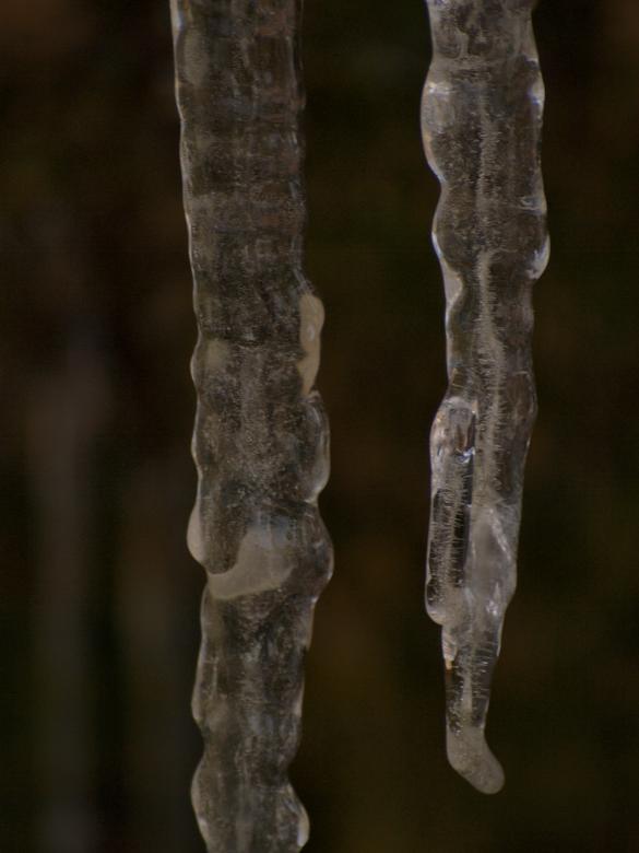 Free stock image of Icicles created by Marko Mäkinen