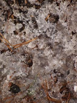 Free Stock Photo of Ice texture