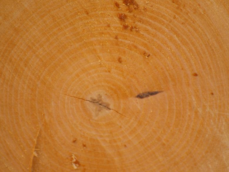 Free stock image of Wood Texture created by Marko Mäkinen