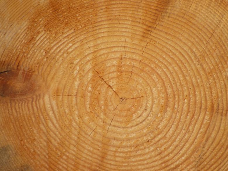 Free stock image of Wood Texture created by Marko Mäkinen