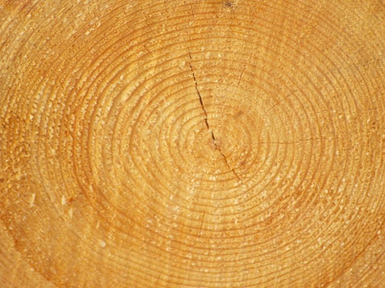 Free stock image of Wood background created by Marko Mäkinen