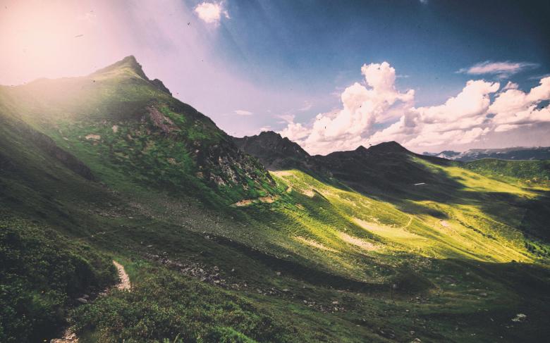 Free stock image of Greenery created by Unsplash