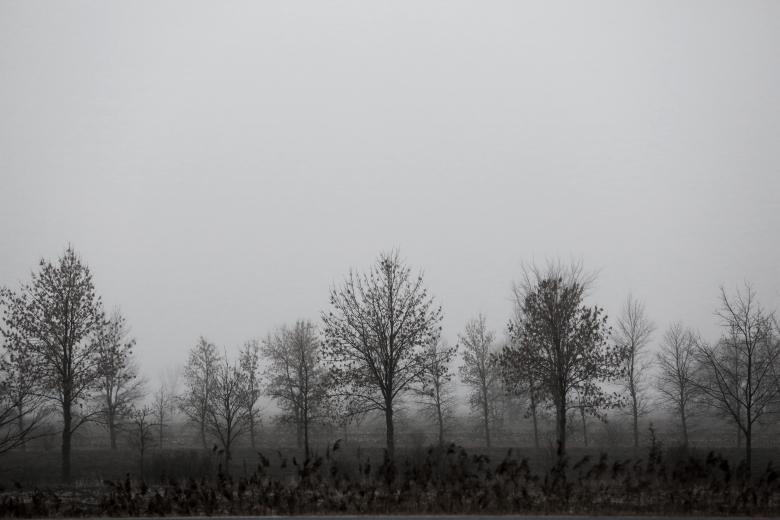 Free stock image of Mist created by Life of Pix