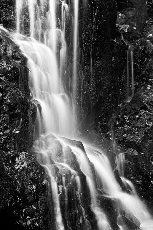 Free stock image of Avalon Falls - Black & White HDR created by Nicolas Raymond