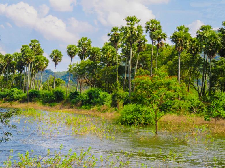 Free stock image of Tropical Lake created by Life of Pix
