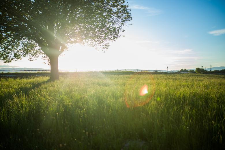 Free stock image of Green Nature created by Negativespace