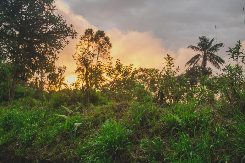 Free stock image of Sunset created by Negativespace