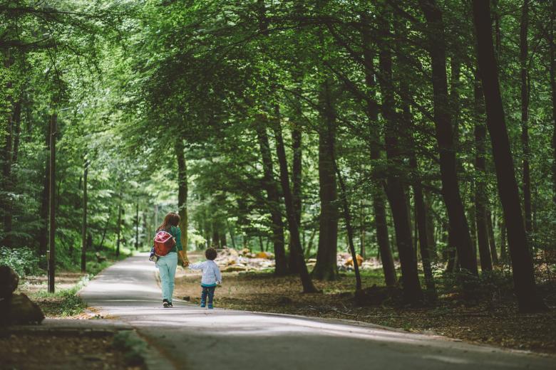 Free stock image of Pathway created by Negativespace