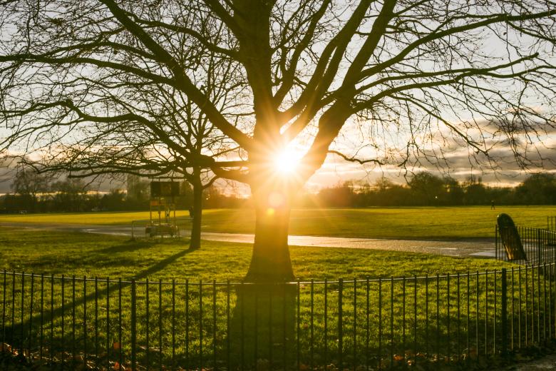 Free stock image of Park created by Negativespace