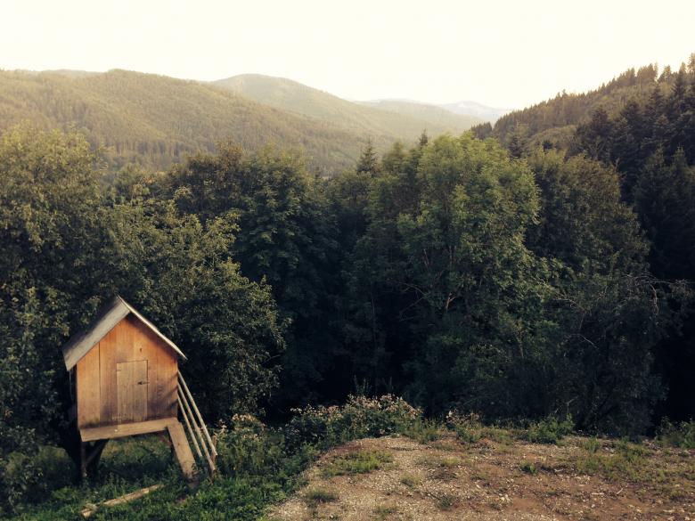 Free stock image of Small House near the Woods created by Unsplash