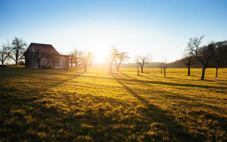 Free stock image of Wooden House created by Unsplash