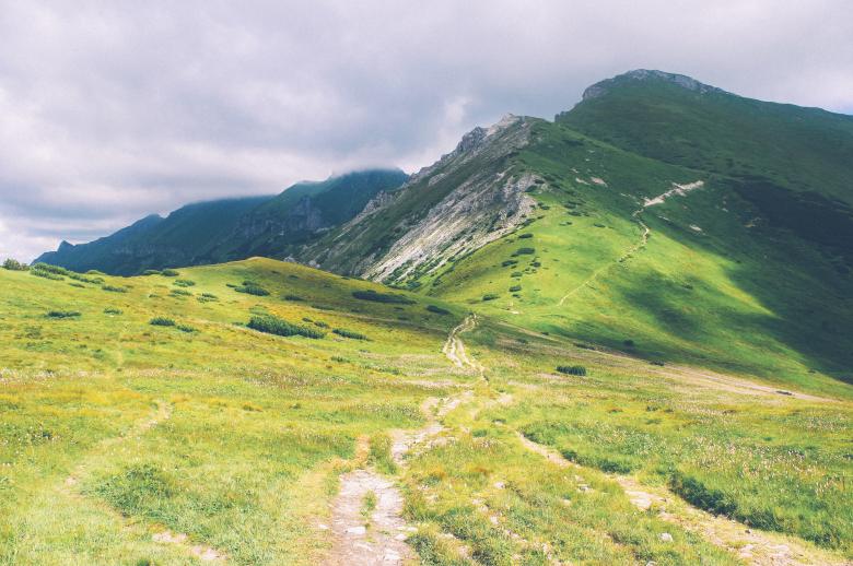 Free stock image of Colors of Nature created by Unsplash