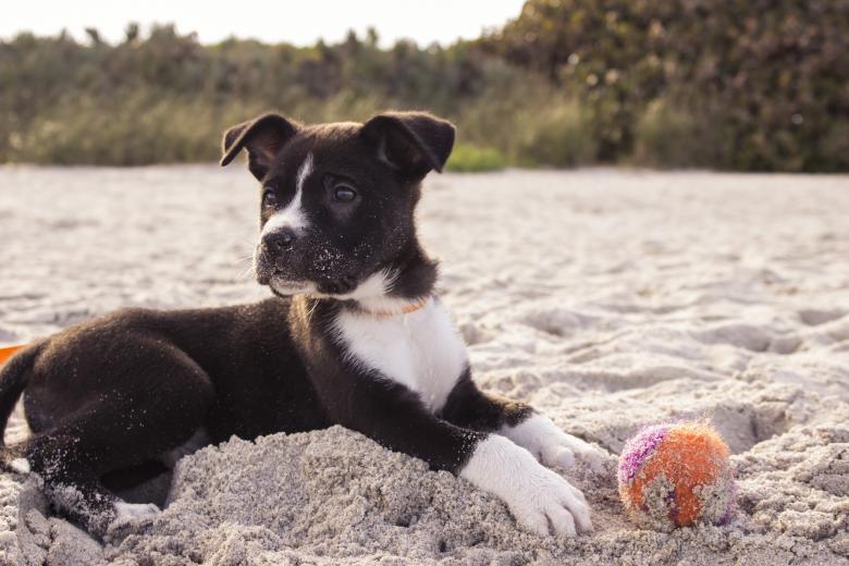 Free stock image of Playing with the ball created by Unsplash
