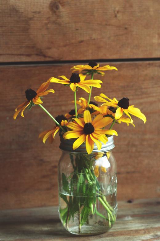 Free stock image of Jar of Sunflowers created by Unsplash