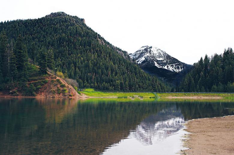 Free stock image of Colors of Nature created by Unsplash
