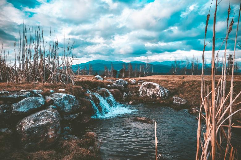 Free stock image of Nature makes its way created by Unsplash