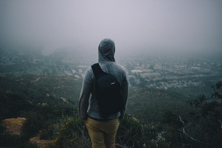 Free stock image of Observing Nature created by Unsplash