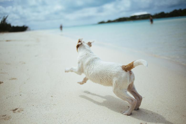 Free stock image of Island created by Unsplash