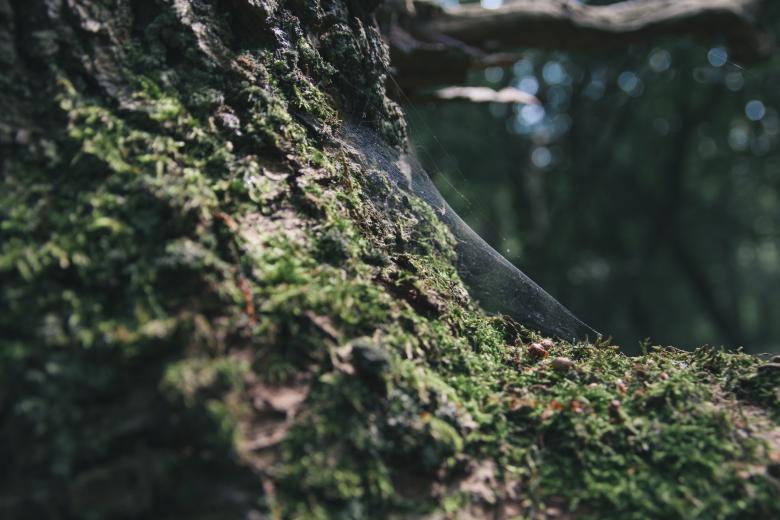 Free stock image of Landscape created by Unsplash