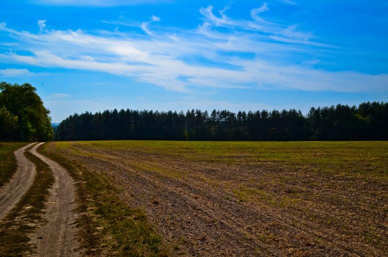 Free stock image of Field created by StockSnap