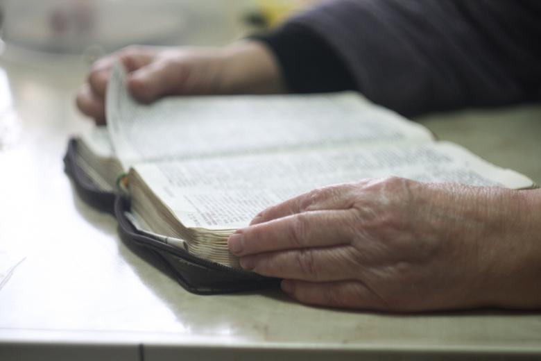 Free stock image of Reading created by StockSnap