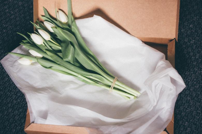Free stock image of Flowers created by StockSnap