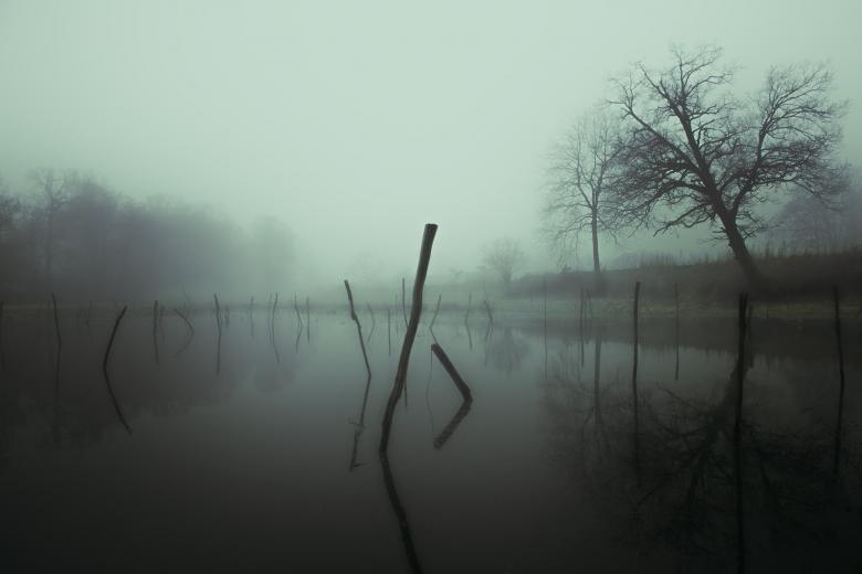 Free stock image of Mist created by StockSnap