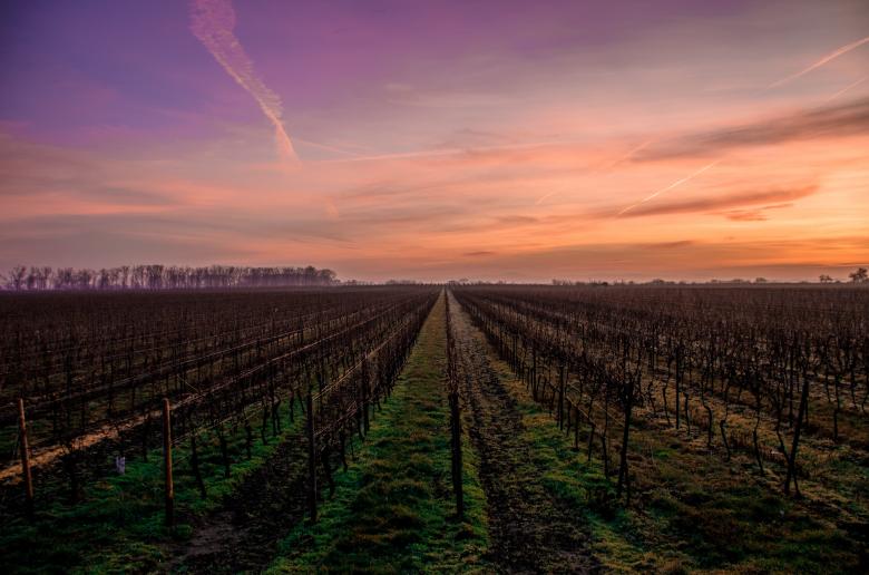 Free stock image of Landscape created by StockSnap