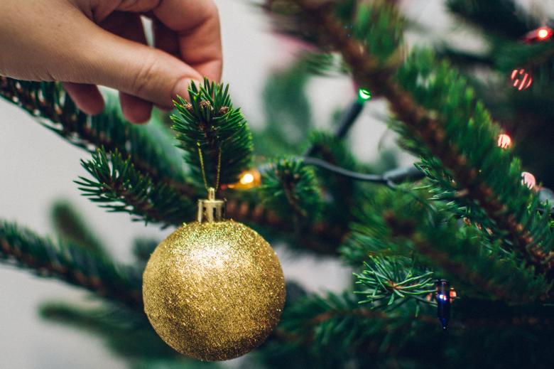 Free stock image of Christmas Tree created by StockSnap
