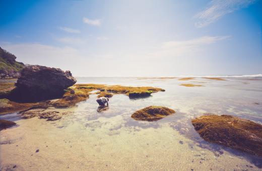 Free Stock Photo of Man In Water